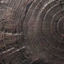 Grantsville Drum Accent Table Black - Threshold™ Designed With Studio McGee 10 Grantsville Drum Accent Table Black - Threshold™ Designed With Studio McGee -Whalen Furniture GUEST 2a48e59f 9a1e 4d95 a641 6710dbd36ebe